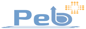 PebPlus Global